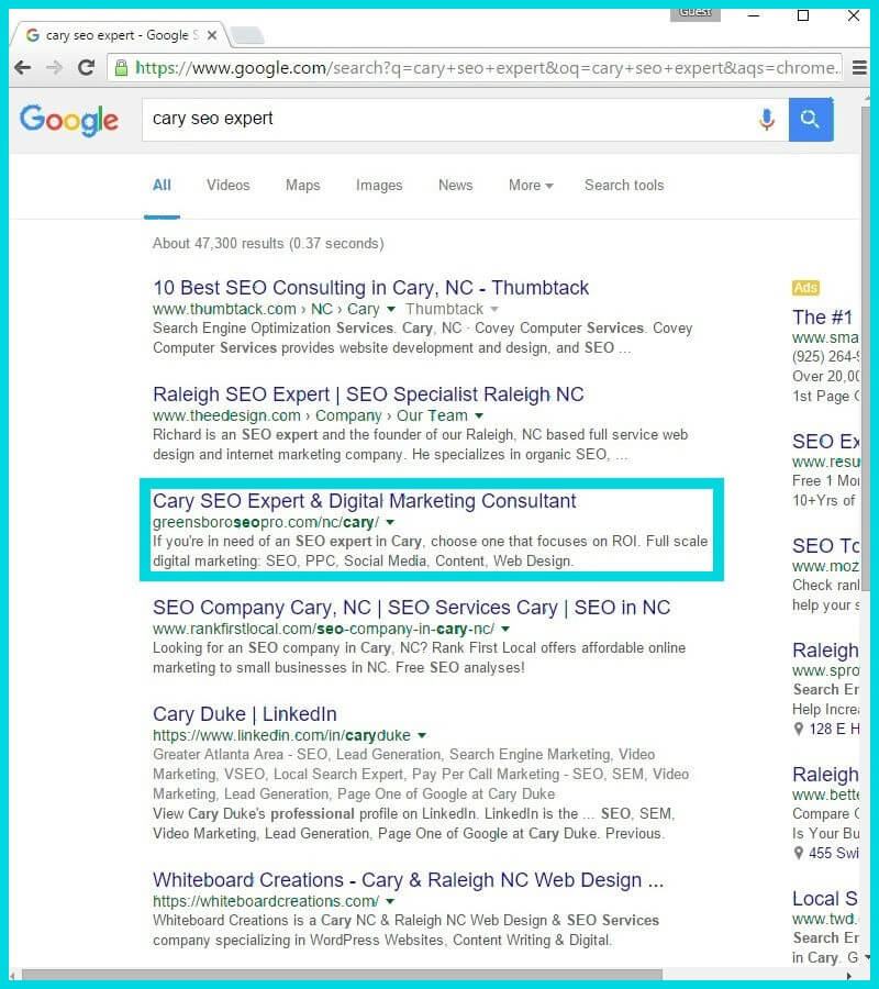 Cary SEO Proof Cary SEO Expert Search Results